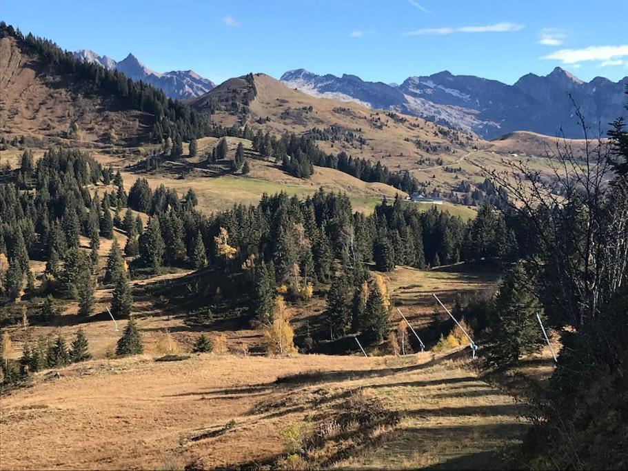 Chalet Milou Les Gets Eksteriør billede